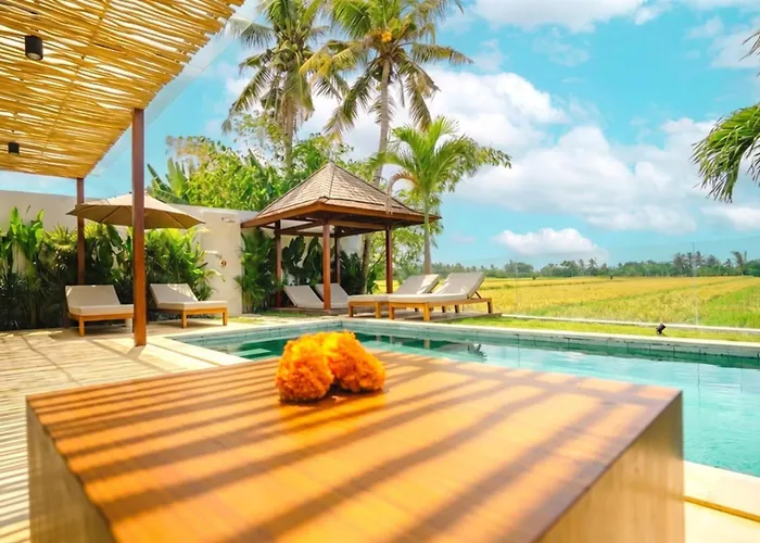 3br With Rice Field View & Private Pool Near Canggu Vakantiehuis Denpasa