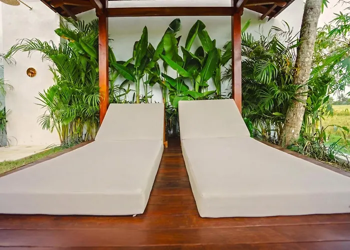 3br With Rice Field View & Private Pool Near Canggu