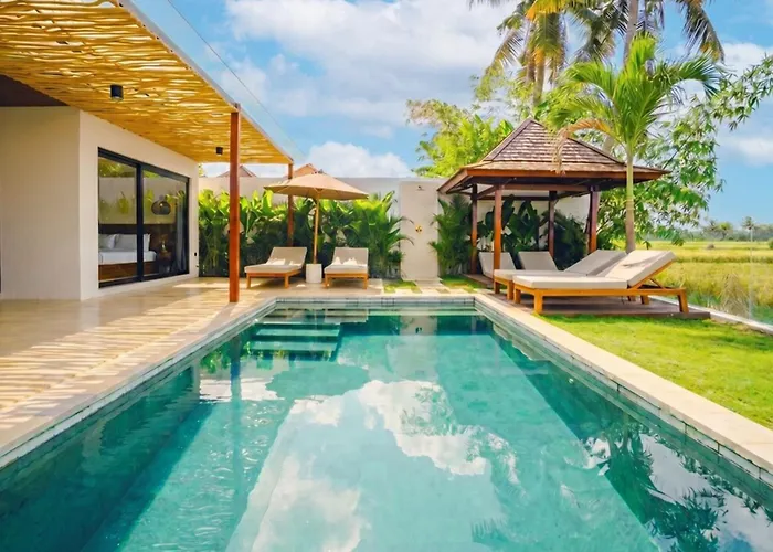 Vakantiehuis 3br With Rice Field View & Private Pool Near Canggu Denpasa